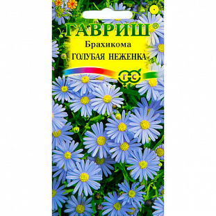Брахикома Голубая неженка Брахикома Голубая неженка