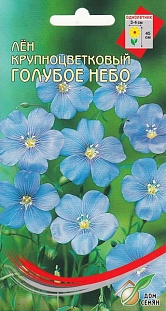 Лён крупноцветковый Голубое небо