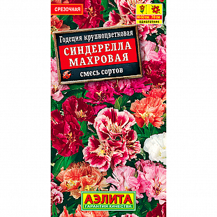 Годеция Синдерелла крупноцветковая махровая, смесь сортов