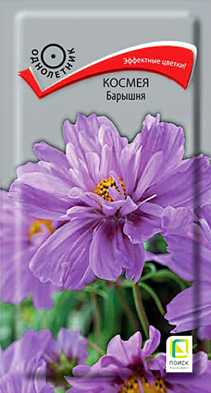 Семена&nbsp;Космея Барышня.&nbsp;Декоративное растение с ажурными сильнорассеченными листьями, высотой 100 см. Цветы полумахровые, розовые с темным центром. Применяют для посадки в смешанных цветниках, декорирования оград и для срезки. Цветет с июля по октябрь.<br>
 <br>
&nbsp;Агротехника.&nbsp;Растение светолюбивое, холодостойкое. К почвам не требовательно, но лучше растет на легких плодородных почвах. Посев семян производят в апреле-мае непосредственно в открытый грунт. Глубина заделки семян 1 см. При температуре почвы +18°C всходы появляются через 8-14 дней. Расстояние между растениями 30-40 см.