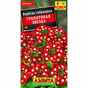 Семена Вербена Гранатовая звезда