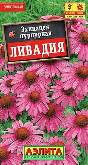 Эхинацея пурпурная Ливадия из каталога Эхинацея Семена Эхинацея пурпурная Ливадия. Зимостойкий многолетник. Куст высотой 80-100 см, с крупными соцветиями-корзинками диаметром 7-8 см. сделает честь любому цветнику. Наиболее органично растение смотрится в цветниках природного стиля. Дает прекрасную срезку, долго сохраняющую свежесть в воде. Кроме высоких декоративных качеств, эхинацея известна лекарственными свойствами.<br>
<br>
Семена не нуждаются в стратификации. Эхинацея – растение свето- и теплолюбивое, засухоустойчивое. Предпочитает плодородные, хорошо дренированные почвы с нейтральной кислотностью. Возможен безрассадный способ выращивания, но растения в этом случае зацветут на второй год.<br>