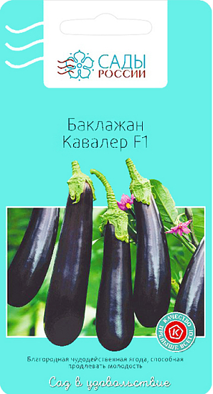 Семена Баклажан Кавалер F1