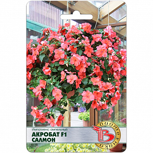 Семена Импатиенс ампельный Акробат Салмон F1