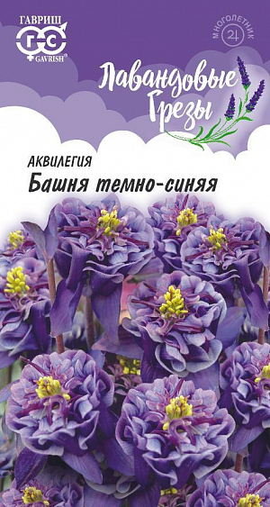 Семена Аквилегия Башня темно-синяя.<br>
 <br>
 Хотите сделать свой палисадник необычным, тогда посадите в цветнике аквилегию — цветок, который никого не оставит равнодушным своей нежностью и хрупкостью. Имея красивые и яркой окраски цветы, растение идеально впишется в любой уголок вашего участка. Растение многолетнее. <br>
 <br>
 Куст довольно высокий, с декоративной листвой и возвышающейся на прочных цветоносах букет изысканно прекрасных плотно-махровых цветков, темно-синей окраски, с короткой шпорой, которые смотрят вверх и никогда не поникают. Пышное и обильное цветение, в первой половине лета. Влаголюбива. Желательно высаживать в полутени, может расти и на солнечных участках. К почве нетребовательна, предпочитает легкие, хорошо удобренные, дренированные участки.&nbsp;<br>
 <br>
На рассаду семена высевают в марте, не заделывая, в ящики с влажным субстратом и ставят на свет. Семена прорастают через 3-4 недели при температуре 18-20оС. Для получения дружных всходов при весеннем посеве семена стратифицируют при температуре +10оС. Предназначена не только для выращивания в открытом грунте, но и для горшечной культуры.