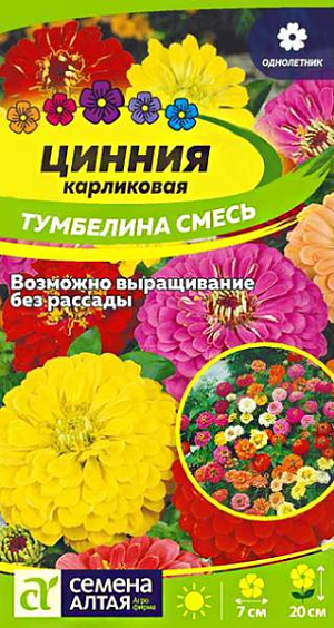 Семена цветы Цинния Тумбелина смесь.<br>
 <br>
 Неприхотливый однолетник. Уникальная смесь карликового типа высотой до 20 см. Цветки георгиновидные махровые и полумахровые различных окрасок, диаметром до 7 см. Прекрасно подходит для оформления клумб, рабаток, альпийских горок, также выращивается как горшечная культура. Растение относительно засухоустойчиво, но требует регулярных поливов, чувствительно даже к легким заморозкам. Предпочитает солнечные, защищенные от ветра теплые участки с дренированной нейтральной, богатой гумусом и минеральными элементами почвой. Посевы на рассаду проводят с конца марта под стекло. Глубина заделки семян 0,5 см. При температуре +22…+25°С всходы появляются на 7-10 день. С развитием первой пары настоящих листочков сеянцы пикируют в отдельные горшочки. В фазе 5-6 листьев проводят формирующую прищипку. В открытый грунт на постоянное место рассаду высаживают в конце мая – начале июня, когда минует угроза заморозков. Схема посадки – 20х20 см. Возможен прямой посев семян в открытый грунт в мае. Продолжительность цветения с июля до осенних холодов. Удаление увядших соцветий способствует более пышному и продолжительному цветению.<br>
