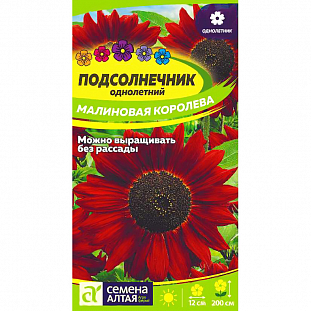 Семена Подсолнечник Малиновая Королева Семена Подсолнечник Малиновая Королева