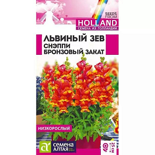 Семена Львиный зев Снэппи Бронзовый закат