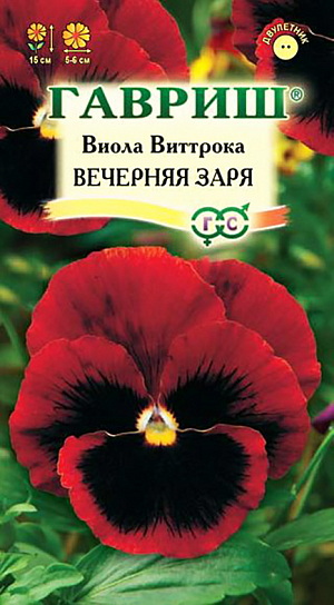 Семена Виола Вечерняя Заря Виттрока.
Неприхотливое популярное растение из семейства Фиалковые высотой 20-25 см.
Цветет обильно и продолжительно с мая по сентябрь. 
Цветки крупные (5-6 см в диаметре), белой окраски. Влаголюбива, холодостойка, хорошо растет на солнце и в полутени. 
Для получения растений, цветущих в год посева, семена высевают на рассаду в феврале-марте. Всходы появляются через 5-7 дней.
В открытый грунт рассаду высаживают в конце апреля-начале мая на расстоянии 20 см. 
Растения хорошо переносят пересадку в цветущем состоянии. При посеве в открытый грунт в июне-июле, цветение наступает во второй год. 
Используют для посадки на клумбы, рабатки, в балконные ящики и садовые вазы.