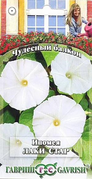 Семена Ипомея Лаки Стар<br>
 <br>
 Этот сорт порадует любителей плотных зеленых ширм на балконах. Растения с мощным ростом и интенсивным ветвлением создадут приятный тенистый уголок. Удивительная ипомея «блистает во всей красе» только при недостатке света: ее огромные цветки распускаются полностью в пасмурную погоду, в вечернее и ночное время. Цветки воронковидные, молочно-белые, очень эффектные до 10 см, Цветет с июля и до первых заморозков. Теплолюбива, требовательна к плодородию и влажности почвы. Посев на рассаду производят в марте.&nbsp;<br>