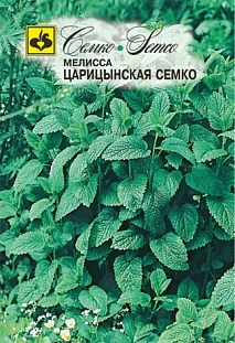 Мелисса лекарственная Царицынская Семко