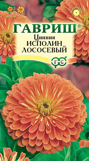 Семена Цинния Исполин Лососевый.
Серия высокорослых крупноцветковых цинний для элитного оформления сада. 
Отличается чрезвычайно обильным и продолжительным цветением, прочными ветвящимися цветоносами, чистыми и стойкими к выгоранию тонами соцветий. Формирует приподнятые, разветвленные кусты высотой до 90 см.
Соцветия георгиновидные, крупные, лососевые, 15 см в диаметре, с высокой устойчивостью к неблагоприятным погодным условиям. 
Цветет с июня до заморозков. Циннии светолюбивы, засухоустойчивы и теплолюбивы; отзывчивы на полив, без длительного полива снижается интенсивность цветения и уменьшается размер соцветий. Выращивают рассадным способом. Семена высевают в апреле. 
Всходы появляются через 4-6 дней. В начале июня растения высаживают на расстоянии 20 см.