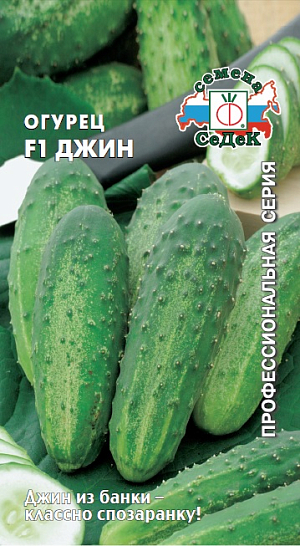 Семена Огурец Джин F1