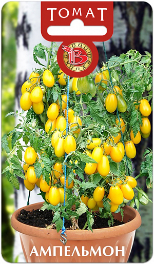 Семена Томат Ампельмон