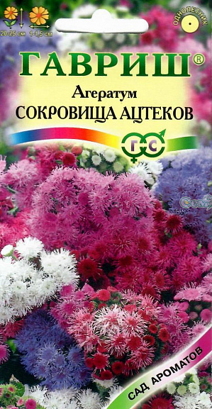 Семена Агератум Сокровища ацтеков.
Великолепная смесь сортов. Декоративные растения из семейства Астровые, культивируемое как однолетник, высотой 20-25 см. 
Цветение обильное с июня до заморозков. 
Цветки мелкие, узкотрубчатые, обоеполые, душистые, собраны в небольшие соцветия-корзинки, 1-1,5 см в диаметре, которые, в свою очередь, собраны в сложные щитковидные соцветия до 10 см в поперечнике. Окраска разнообразная.
Агератум достаточно засухоустойчив, светолюбив, но может расти при небольшом затенении, предпочитает легкие, 
умеренно плодородные почвы. Теплолюбив, заморозков не переносит. Выращивают рассадным способом. 
Посев проводят в конце марта-начале апреля, всходы появляются через 8-12 дней. 
Рассаду высаживают в конце мая-начале июня, после окончания весенних заморозков.
Используют для посадки на клумбах, в рабатках, миксбордерах, а также в балконные ящики.