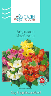 Семена Абутилон Изабелла