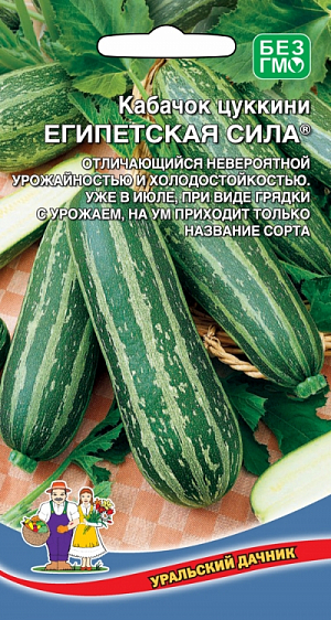 Семена Кабачок Египетская сила Семена Кабачок Египетская сила