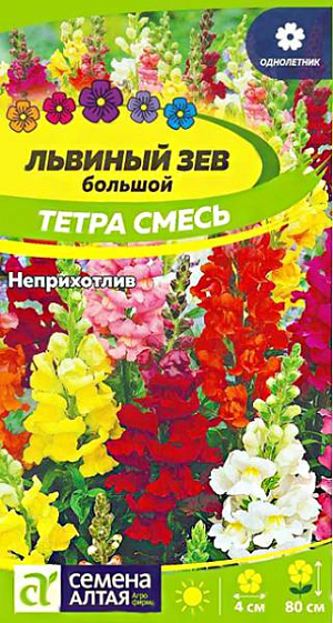 Семена Львиный зев Тетра Смесь<br>
 <br>
 Смесь длительно и обильно цветущих растений высотой до 80 см с крупными цветками яркой и оригинальной окраски. Колосовидные соцветия крупные, плотные, многоцветковые, длиной 25-30 см. Великолепно подходит для украшения клумб, рекомендуется для массовых посадок и создания яркого бордюра. В срезке долго сохраняет свежесть, успевают распуститься все бутоны. Холодостойкое, засухоустойчивое растение. Хорошо растёт на открытых солнечных участках, выносит небольшое затенение. Предпочитает богатые, хорошо удобренные, слегка увлажнённые почвы, но не выносит переувлажнения. Выращивают как рассадным способом, так и прямым посевом семян в грунт. Посевы на рассаду проводят с начала марта.<br>