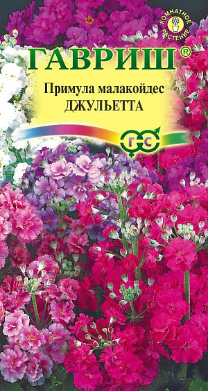 <div>
 Семена Примула Джульетта.
</div>
 <article>
<p>
 Милое и очень трогательное растение, обильно цветет в комнатных условиях в зимне-весенний период, наполняя дом нежным ароматом. Относится к группе ярусовидных или канделябровых примул. Белые, розовые и красные махровые цветки (до 1,5 см.) в пушистых многоярусных соцветиях, расположены на прочных цветоносах, высотой 30 см. Темно-зеленые опушенные листья собраны в густую прикорневую розетку. Растение&nbsp;предпочитает хорошо освещенные места, без прямых солнечных лучей. Во время цветения поливают умеренно, не допуская пересыхания или переувлажнения почвы. Подкармливают 1 раз в 2-3 недели комплексным удобрением.
</p>
<p>
 Семена высевают во влажную почвенную смесь из листовой, дерновой земли, перегноя, торфа и песка (1:1:1:1:1) и помещают в прохладное помещение (7-10ºС). Через неделю посевы переносят в освещенное место, увлажняют из пульверизатора и накрывают стеклом. Оптимальная температура для прорастания +16…+20 °С. Через месяц сеянцы пикируют, а затем пересаживают в горшки. Рекомендуется ежегодно посевы повторять, обновляя растения. Примула мягковатая может выращиваться как однолетник и в открытом грунте, цветение тогда начинается летом.
</p>
 </article>