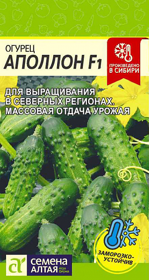 Семена Огурец Аполлон F1