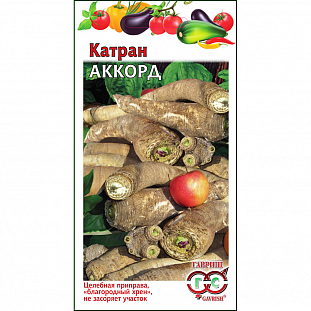 Катран Аккорд Катран Аккорд