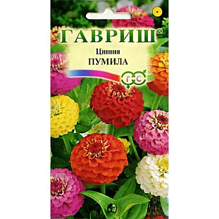 Семена Цинния Пумила Семена Цинния Пумила