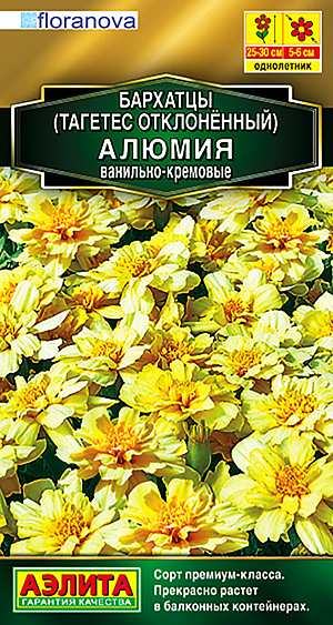 Семена Бархатцы Алюмия ванильно-кремовые.<br>
&nbsp;Эксклюзивный сорт, летник премиум-класса. Уникальный цвет бархатцев АЛЮМИЯ выделяет их из множества привычных сортов. Нежные ванильно-кремовые цветки Ш 5-6 см смотрятся необычайно, свежо. Сорт ультраранний, зацветает в рассаде. Хорошо ветвящийся от основания кустик высотой 25-30 см стойко переносит непогоду, не разваливаясь от порывов ветра, сильных дождей. Прекрасно растет в балконных и садовых контейнерах. В открытом грунте растения хороши в бордюрах, массивами на рабатках, по переднему краю сборных цветников
Агротехника. Выращивают рассадным способом. В фазе одного-двух настоящих листьев сеянцы пикируют. Рассаду высаживают в открытый грунт, когда минует опасность заморозков. Растениям необходимы регулярные поливы, прополки, рыхления и подкормки. Возможен посев семян в открытый грунт на глубину 1 см.
