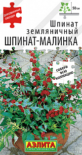 Семена Шпинат земляничный Шпинат-малинка Семена Шпинат земляничный Шпинат-малинка