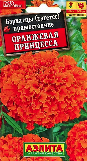 Семена Бархатцы Оранжевая принцесса.
Высокорослые бархатцы с очень крупными (9-10 см) густо махровыми соцветиями-корзинками. Растения крепкие, раскидистые, высотой до 70 см, с множеством прочных цветоносов. Благодаря устойчивости к непогоде, кусты прекрасно держат форму и не теряют своей декоративности под воздействием ветра и дождя. Цветение раннее, обильное и продолжительное, с июня до заморозков. Бархатцы Оранжевая принцесса засухоустойчивые, тепло- и светолюбивые. Используются для украшения клумб, цветников, подходят для срезки. 
Агротехника. Выращивают рассадным способом. Посев проводят в первой половине апреля. Всходы появляются через 4-8 дней после посева, сеянцы пикируют в фазе 1-2-х настоящих листьев. Рассаду высаживают в конце мая - начале июня. Возможен посев в открытый грунт в мае на глубину 1,5-2 см.