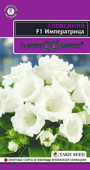 Семена Глоксиния Императрица.
Роскошное и очень модное среди цветоводов комнатное растение из семейства Геснериевые. Цветки колокольчатой формы, нежно-белые, с приятной бархатистой поверхностью венчают длинные цветоносы. Широкоовальные листья на коротких черешках украшают основание цветоноса. На взрослом растении образуется 10-15 крупных цветков, создавая впечатление нарядного букета. Глоксиния предпочитает светлые, солнечные места без воздействия прямых солнечных лучей.