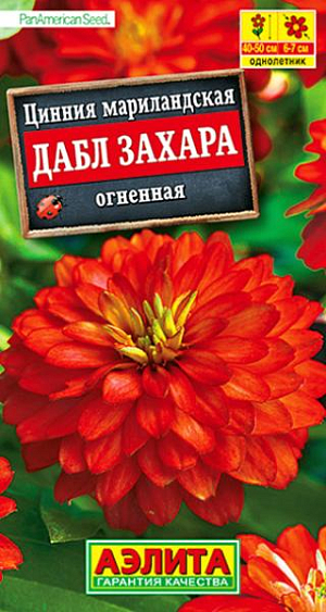 Семена Цинния Дабл Захара огненная. 100% махровая! Роскошная цинния американской компании PanAmerican Seed. Компактное растение, высотой 40-50 см, дает ошеломляющее количество ярких полностью махровых цветов&nbsp; &nbsp;6-7 см. Соцветия долго сохраняют декоративность на растении, не боятся любых погодных условий. Серия цинний Дабл Захара рекомендуется для выращивания в клумбах, рабатках, в контейнерах и кашпо.<br>
 <br>
 &nbsp;Циннии – растения теплолюбивые, быстрорастущие, относительно засухоустойчивые. Предпочитают солнечные участки с дренированными почвами среднего плодородия, нейтральной кислотности. В южных регионах возможен безрассадный способ выращивания.<br>