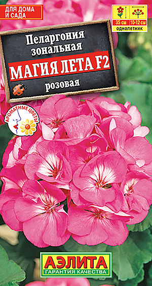 Семена Пеларгония Магия лета F2 розовая. Пеларгония (в просторечии «герань») – одно из самых популярных растений для дома и сада. Кусты компактные, высотой до 35 см. Цветки&nbsp;&nbsp;диаметром 3 см собраны в крупные соцветия&nbsp;&nbsp;диаметром 10-12 см. Растения неприхотливые, устойчивые к болезням и вредителям. Летом используются в садовых контейнерах, на балконах. На подоконниках в квартирах цветут круглый год в течении многих лет.<br>
 <br>
 &nbsp;Сеянцы пикируют в фазе одного-двух настоящих листьев. При достижении рассадой 8-10 см верхушки побегов прищипывают, чтобы стимулировать ветвление. Рекомендуем растения из открытого грунта перед заморозками пересадить в горшок и занести на зимовку в дом.<br>