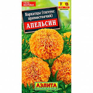 Семена Бархатцы Апельсин прямостоячие
