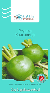 Редька Красавица Редька Красавица