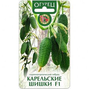 Семена Огурец Карельские шишки F1