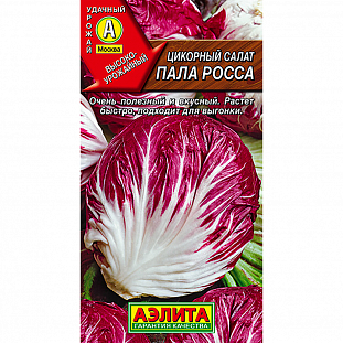 Семена Цикорный салат Пала Росса