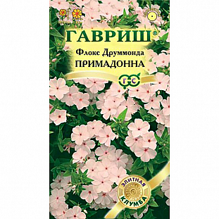 Семена Флокс Друммонда Примадонна