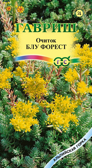 Семена Очиток Блу Форест<br>
 <br>
 Многолетнее почвопокровное растение, образует красивый ковер высотой до 15 см. Листья голубовато-зеленые, сочные, равномерно и черепитчато расположены на побегах. Цветки золотисто-желтые, собраны в почти шаровидные соцветия. Цветет в июле, зацветает на 2-3-й год. Светолюбив, мирится с небольшим затенением. Неприхотлив, засухоустойчив, хорошо растет на любой окультуренной почве с внесением небольшого количества перегноя или компостной земли. На одном месте без пересадки растет до 5 лет.<br>