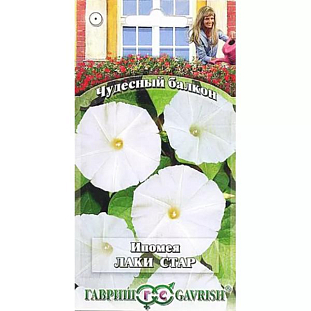 Семена Ипомея Лаки Стар