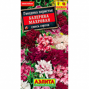 Гвоздика Балерина махровая, смесь сортов Гвоздика Балерина махровая, смесь сортов