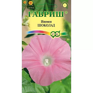 Семена Ипомея Шоколад
