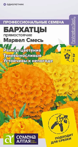 Семена Бархатцы "Марвел" смесь.<br>
Новая серия быстрорастущих бархатцев поражает своей красотой и изумительными расцветками. Растение образует компактные кустики высотой до 25 см с крупными, до 7 см в диаметре, махровыми цветками насыщенного оранжевого цвета. Отличается ранним и продолжительным периодом цветения и устойчивостью к неблагоприятным погодным условиям. Идеально подходит для ландшафтного озеленения и посадки в вазоны и клумбы, будет эффектно смотреться как в балконных ящиках, так и в качестве горшечной культуры. Долго сохраняет декоративность в срезке, оказывает санитарное воздействие на почву. Неприхотливое, засухоустойчивое и светолюбивое растение, выносит небольшое затенение. Заморозков не переносит. Наибольшей декоративности достигает на открытых солнечных участках с питательными нейтральными суглинистыми почвами. Посев семян на рассаду проводят в марте. Глубина заделки семян 0,5 см. Посевы накрывают черной плёнкой для поддержания необходимого уровня влажности. При температуре +20-22°С всходы появляются через 7-10 дней, пленку убирают, температуру понижают до +16-18°С, во избежание вытягивания рассады. В грунт высаживают, когда минует угроза заморозков. Схема посадки 20х30 см. Цветение – через 2-2,5 месяца от посева, с июня до заморозков. В районах с мягким климатом возможен посев семян в открытый грунт в мае на глубину 1,0-1,5 см.