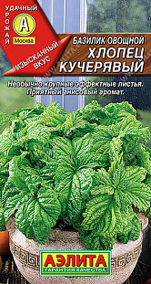 Семена Базилик овощной Хлопец кучерявый