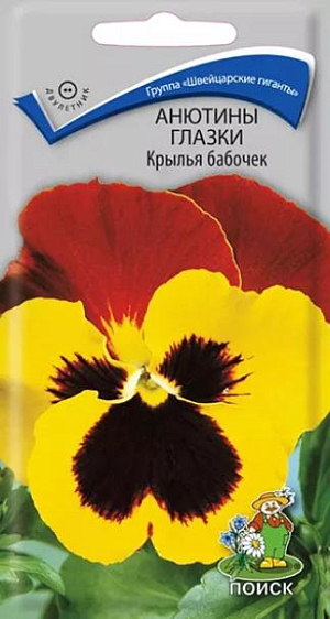 Семена&nbsp;Анютины глазки Крылья бабочек.&nbsp;Растение с быстрым ростом, красиво и обильно облиственное, с крупными цветками, сидящими на короткой и твердой цветоножке, высотой 15 см. Цветы крупные трехцветные. Верхние лепестки красно-бордовые, нижние желтые с черными пятнами у основания лепестков. Цветёт с июня до морозов. Используют для клумб и бордюров, в цветники - группами.<br>
 <br>
&nbsp;Агротехника.&nbsp;Растения неприхотливые, легкие в выращивании, холодостойкие. Предпочитают солнечные и полутенистые места, рыхлые, плодородные почвы. Размножают посевом семян в июне на разводочные гряды. Семена слегка присыпают землей. При температуре почвы +18°C всходы появляются на 10-15 день. Сеянцы пикируют в фазе 1-2-й пары настоящих листьев. В конце августа – начале сентября рассаду высаживают на постоянное место, выдерживая расстояние между растениями 15-20 см.