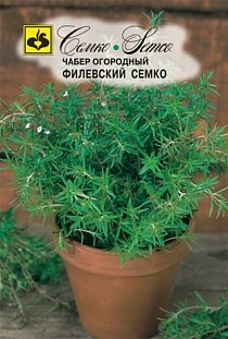 Чабер (огородный) Филевский Семко