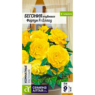 Семена Бегония клубневая Фортун Еллоу