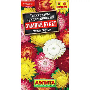 Гелихризум Зимний букет, смесь сортов