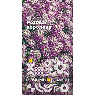 Семена Алиссум Розовая королева