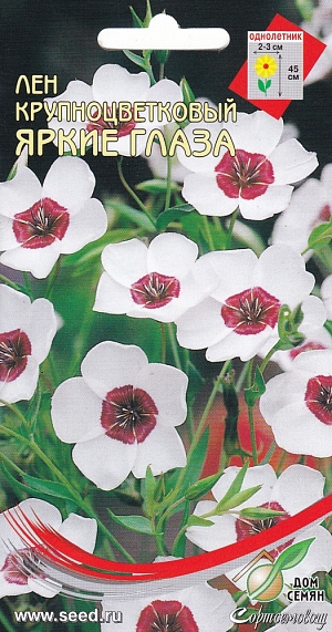 Однолетнее растение с ветвистым тонким стеблем и изящными яркими цветками, которые открыты в солнечную погоду. Используется для клумб, рабаток. Для срезки выбирают растения с большим количеством бутонов. Высота 50 см. (Linum grandiflorum) Посев: в грунт в апреле – мае. Всходы появляются через 14дней при t=15-200С. Сеянцы нормально развиваются при t=10-150С. После прореживания между растениями оставить 10-15см. Уход: предпочитает солнечное место и рыхлые, плодородные, хорошо дренированные почвы. Цветение: с конца июня по сентябрь.