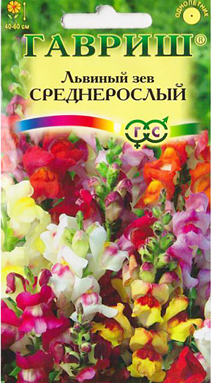 Семена Львиный зев Среднерослый.
Декоративное растение из семейства Норичниковые, культивируемое как однолетник, высотой 40-60 см. 
Цветет с конца июня до поздних заморозков. Цветки собраны в кистевидные соцветия разнообразной окраски - желтой, красной, розовой, белой. Холодостоек, светолюбив, к почвам нетребователен, в засушливый период нуждается в поливе.
Выращивают рассадным способом. Посев проводят с начала марта до середины апреля. Всходы появляются через 8-12 дней. 
Рассаду высаживают во второй половине мая с расстоянием между растениями 20 см.
Используется для посадки на клумбах, в рабатках и миксбордерах, а также для получения срезки (львиный зев стоит в воде до двух недель).
